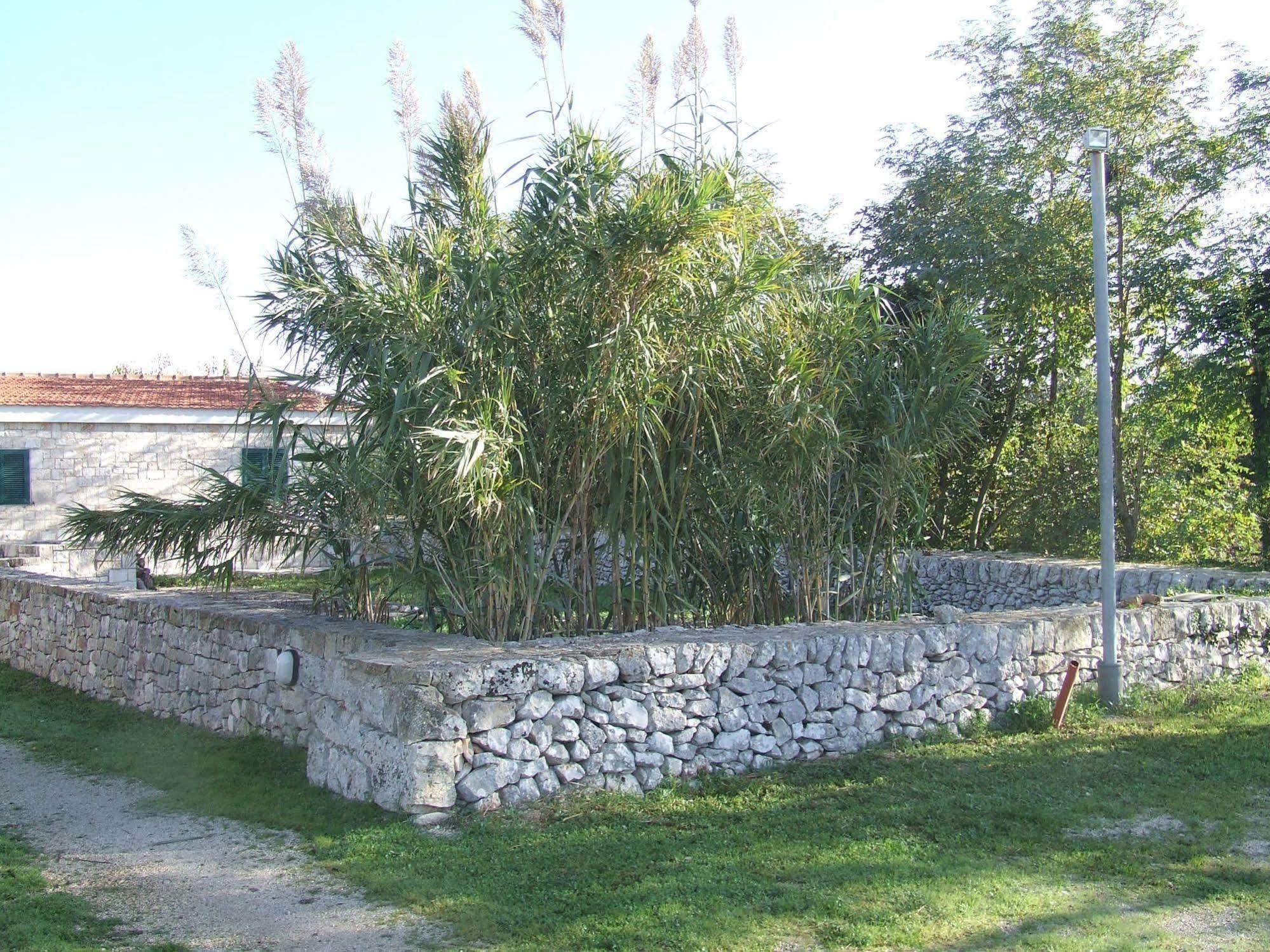 Dimora Del Sole Apartment Putignano Exterior photo
